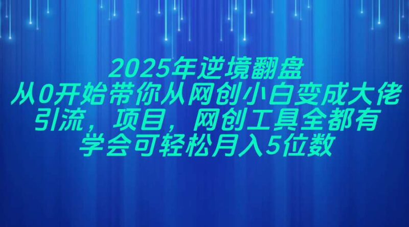 2025年逆境翻盘,从0开始带你从网创小白变成大佬,引流,项目,网创工...-跃知万川