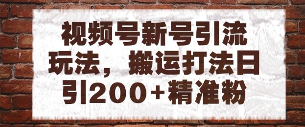 视频号新号引流玩法，搬运打法日引200+精准粉，可矩阵放大【揭秘】-跃知万川