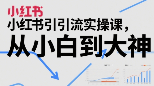 小红书引流实操课，从小白到大神-跃知万川