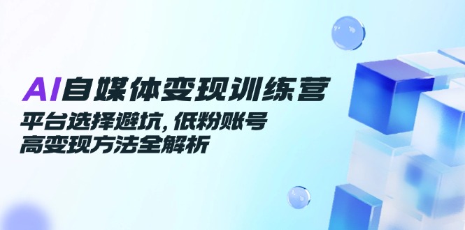 AI自媒体变现训练营，平台选择避坑，低粉账号高变现方法全解析-跃知万川