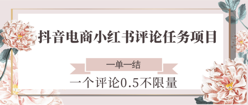 抖音电商小红书评论任务项目，一个评论0.5，一单一结 不限量-跃知万川