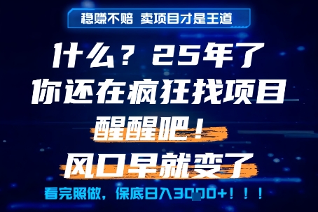 什么？25年你还在疯狂找项目做，醒醒吧，看完这些你全都懂了！【揭秘】-跃知万川
