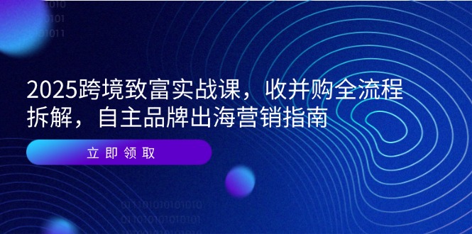 2025跨境致富实战课，收并购全流程拆解，自主品牌出海营销指南-跃知万川