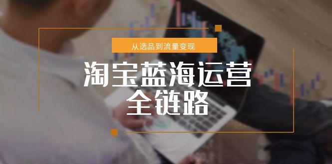 淘宝蓝海运营全链路，从选品到流量变现，小类目突围完整方案-跃知万川