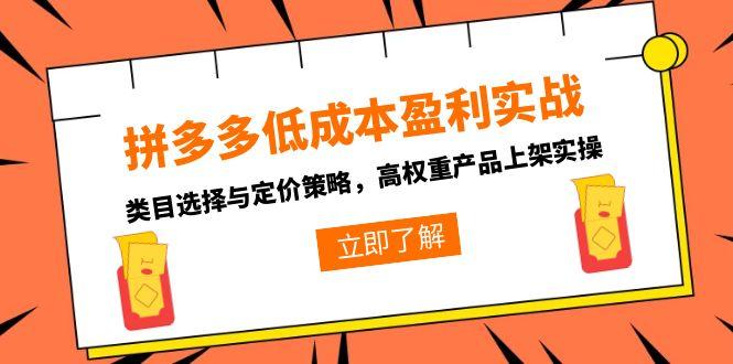 拼多多低成本盈利实战，类目选择与定价策略，高权重产品上架实操-跃知万川