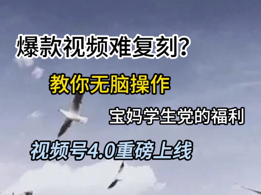 视频号4.0重磅上线，爆款视频难复刻？教你无脑操作宝妈学生党的福利【揭秘】-跃知万川