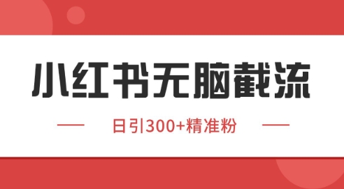 小红书截流同行客源，独家野路子获客玩法 日引200+暴力获客【揭秘】-跃知万川