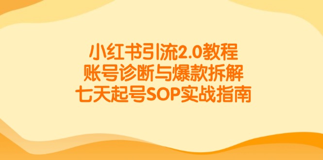 小红书引流2.0教程，账号诊断与爆款拆解，七天起号SOP实战指南-跃知万川