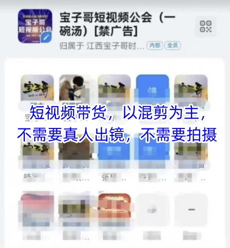 宝子哥头部团队短视频带货，以混剪为主，不需要真人出镜，不需要拍摄【更新】-跃知万川