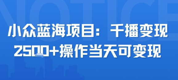 小众蓝海项目，千播变现2.5k+操作当天可变现-跃知万川