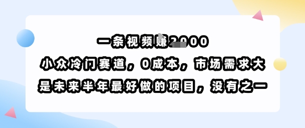 一条视频挣1k，小众冷门赛道，0成本，市场需求大，是未来半年最好做的项目，没有之一-跃知万川