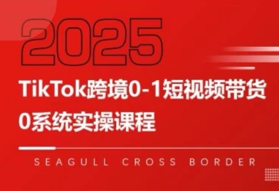 大亿老师·TikTok跨境0-1短视频带货-跃知万川
