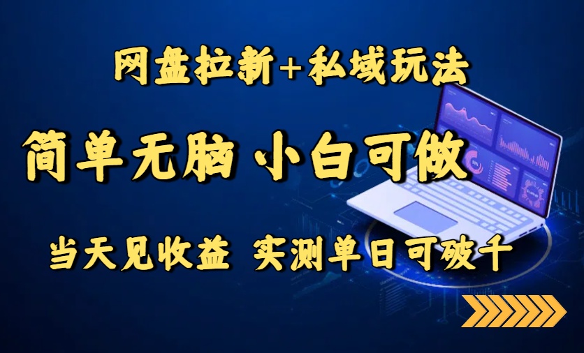 网盘拉新+私域玩法，简单无脑，小白可做，当天见收益，实测单日可破千-跃知万川
