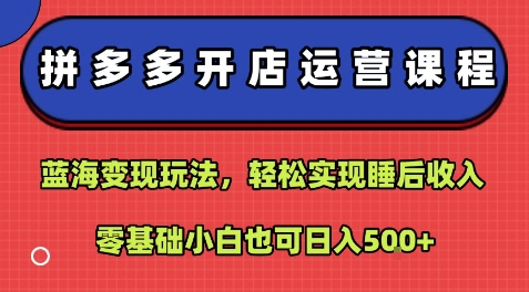 拼多多开店运营课程：蓝海变现玩法，轻松实现睡后收入，零基础小白也可日入5张-跃知万川