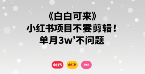 小白可来 小红书项目不需要剪辑 单月3w不是问题-跃知万川