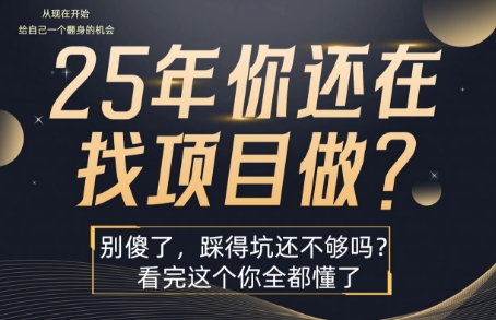 25年，你还在疯狂的找项目吗？别傻了，看完这个你都懂了【揭秘】-跃知万川