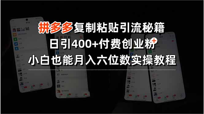 拼多多复制粘贴引流秘籍，日引400+付费创业粉，小白也能月入六位数实操…-跃知万川