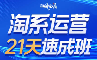 白凤电商·淘系运营21天速成班(更新8月)-跃知万川