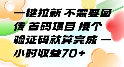 一键拉新 不需要回传 首码项目 接个验证码就算完成 一小时收益70+【揭秘】-跃知万川