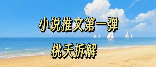 小说推文项目操作全流程第一弹，0粉就能做，门槛低非常适合新手-跃知万川