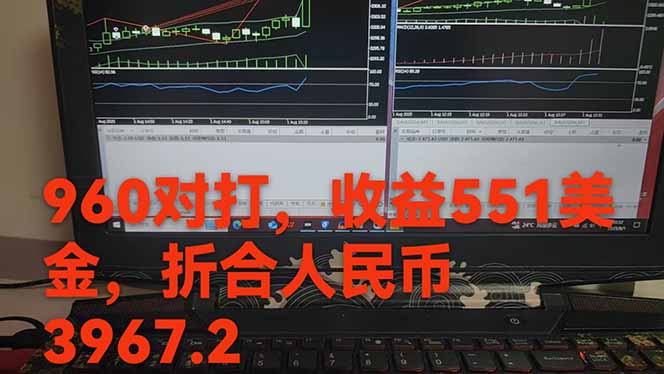 图片[1]-稳定8年的美刀搬砖项目，单人每日收益800—3000.团队4人月入10W+.可线下-跃知万川
