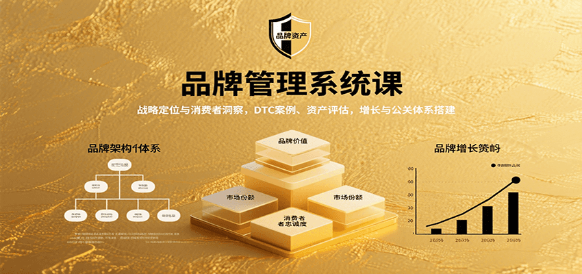 品牌管理系统课：战略定位与消费者洞察，DTC案例、资产评估，增长与公关体系搭建-跃知万川