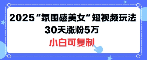 不露脸也能火！2025“氛围感美女”短视频玩法，30天涨粉5W小白可复制-跃知万川