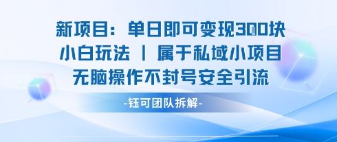 新项目单日即可变现3张的小白玩法无脑操作不封号安全引流-跃知万川