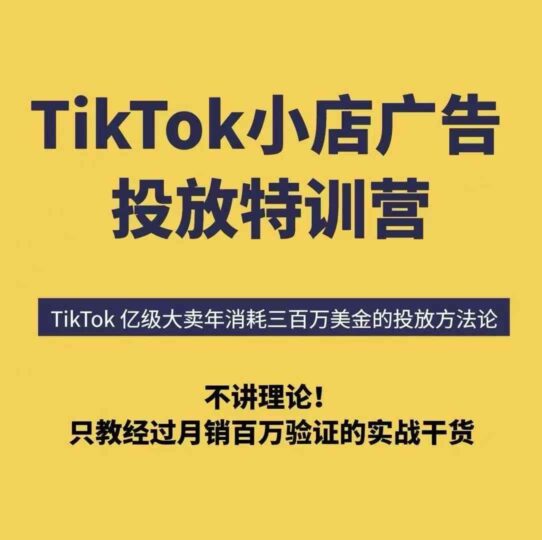 TikTok小店广告投放特训营，6天破局计划专治各种“投不动”，教你经过月销百万验证的实战干货-跃知万川