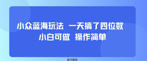 小众蓝海玩法 一天搞了四位数 小白可做 操作简单-跃知万川