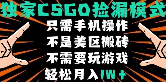 CSGO自动捡漏项目，最新独家玩法，不是美区搬砖，不需要了解和玩游戏，新手小白轻松月入1W+【揭秘】-跃知万川