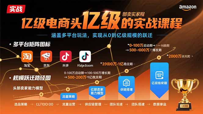亿级电商头部卖家的实战课程：涵盖多平台玩法，实现从0到亿级规模的跃迁-跃知万川