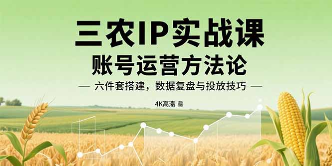 三农IP实战课：账号运营方法论，六件套搭建，数据复盘与投放技巧-跃知万川