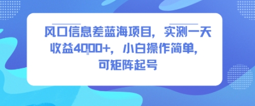 风口信息差蓝海项目，实测一天收益4k+，小白操作简单，可矩阵起号-跃知万川