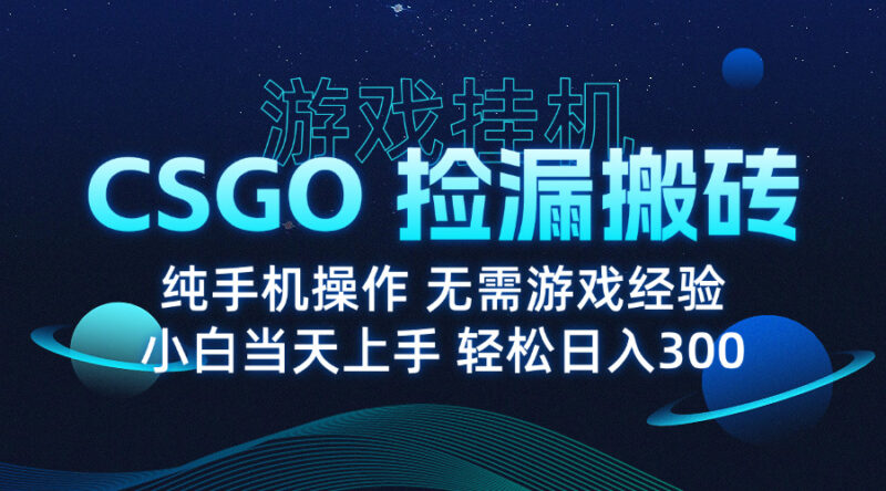 8月最新游戏搬砖，CSGO纯挂机，不需要玩游戏，实现真挂机，月入1W+-跃知万川