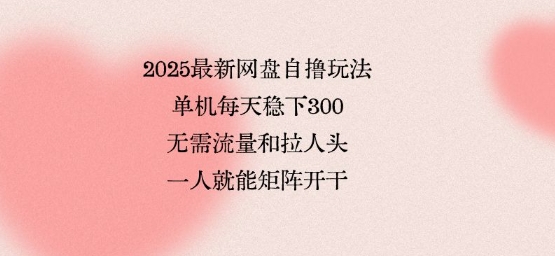 2025最新网盘自撸玩法，单机每天稳下3张，无需流量和拉人头，一个人就可轻松矩阵，全网独一份【揭秘】-跃知万川