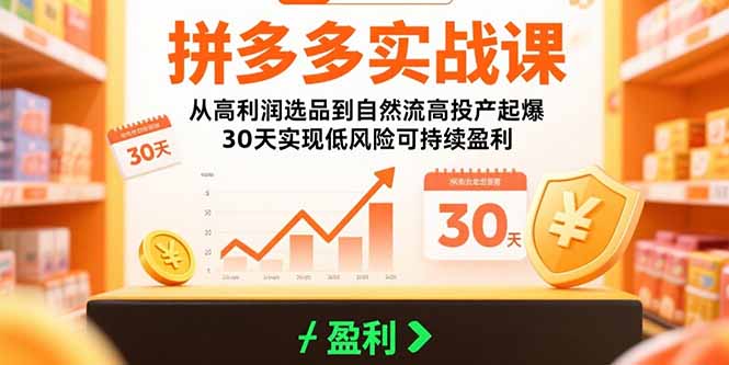 拼多多实战课：从高利润选品到自然流高投产起爆 30天实现低风险可持续盈利-跃知万川