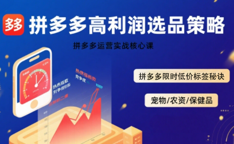 久号老师·拼多多选品暴利技术实战课-跃知万川