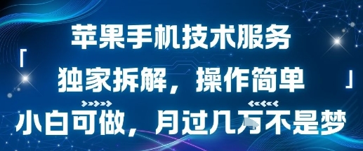 苹果手机技术服务，独家拆解，操作简单，小白可做，月过1W不是梦-跃知万川
