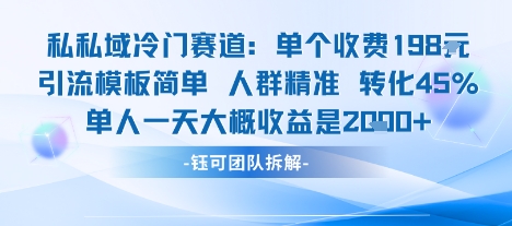 私域冷门赛道单个收费198米引流模板简单人群精准 45%的转化率单人一天大概收益多张-跃知万川