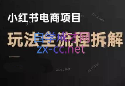 菲菲老师·小红书电商玩法(更新9月)-跃知万川