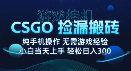 8月最新游戏搬砖，CSGO纯挂G，不需要玩游戏，实现真挂G，月入1W+【揭秘】-跃知万川