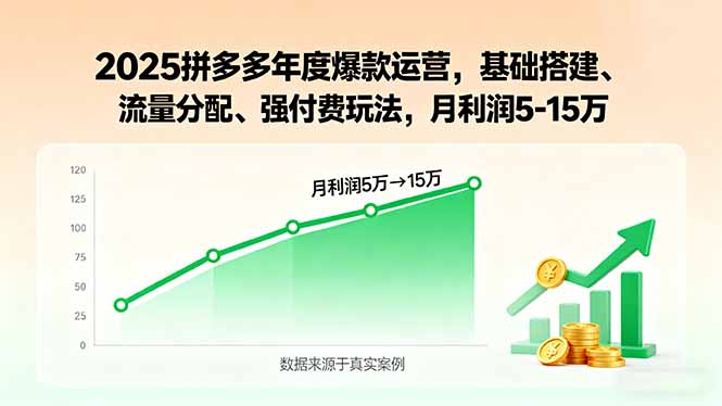 2025拼多多年度爆款运营，基础搭建、流量分配、强付费玩法，月利润5-15万-跃知万川