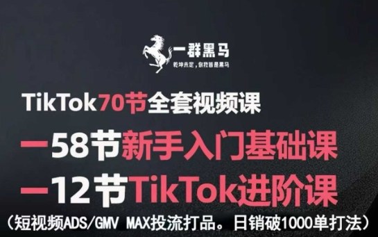 TikTok全套视频课，新手入门+进阶课，短视频ADS-GMV MAX投流打品，日销破1000单打法-跃知万川