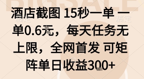 酒店截图15秒一单，一单0.6米，每天任务无上限，全网首发可矩阵单日收益3张【揭秘】-跃知万川