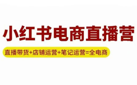 申铭老师·小红书电商直播营(更新)-跃知万川