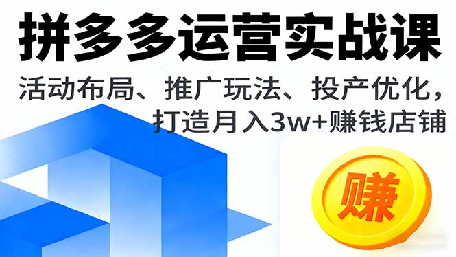 拼多多运营实战课,活动布局、推广玩法、投产优化,打造月入3w+赚钱店铺-跃知万川