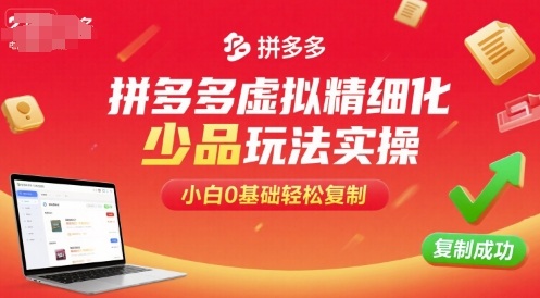 拼多多虚拟精细化少品玩法实操，小白0基础轻松复制-跃知万川