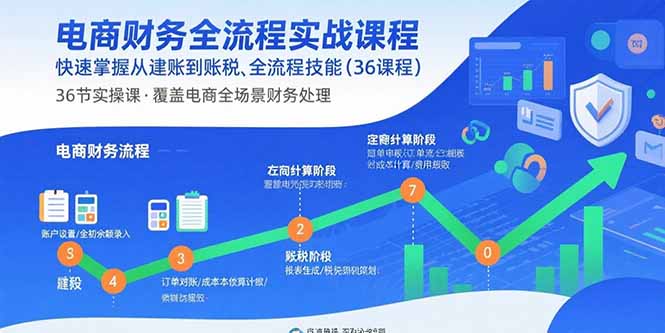 电商财务全流程实战课程：快速掌握从建账到报税的全流程技能(36节课-跃知万川