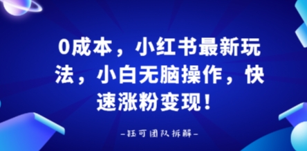 0成本，小红书最新玩法，小白无脑操作，快速涨粉变现-跃知万川